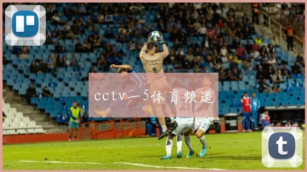 cctv一5体育频道