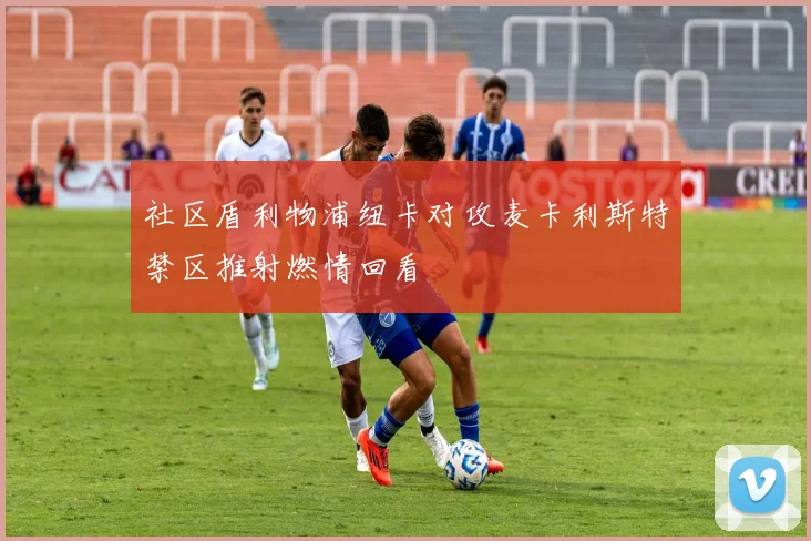 社区盾利物浦纽卡对攻麦卡利斯特禁区推射燃情回看