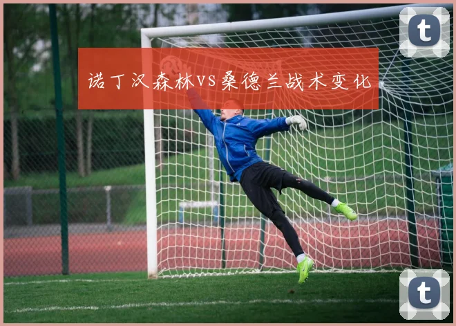 诺丁汉森林vs桑德兰战术变化