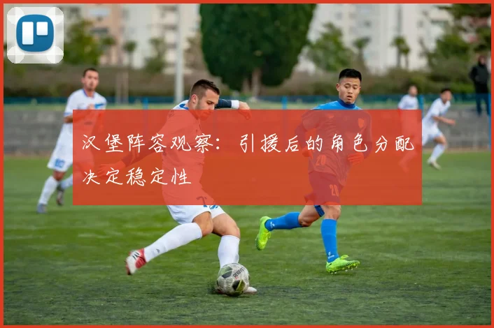 汉堡阵容观察：引援后的角色分配决定稳定性