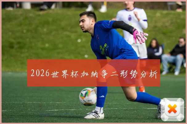 2026世界杯加纳争二形势分析
