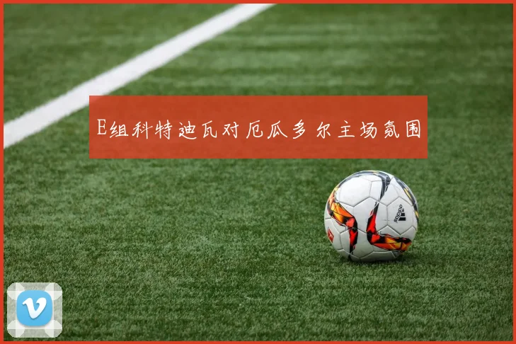 E组科特迪瓦对厄瓜多尔主场氛围